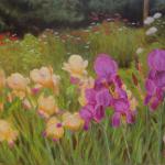 Purple and Yellow Irises - oil, 24x30